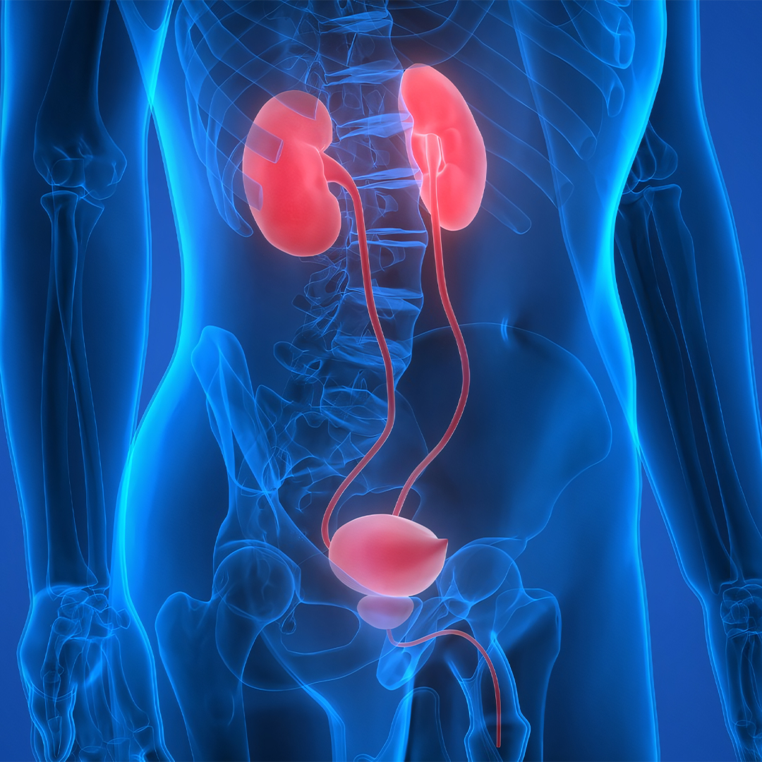 Urology Department